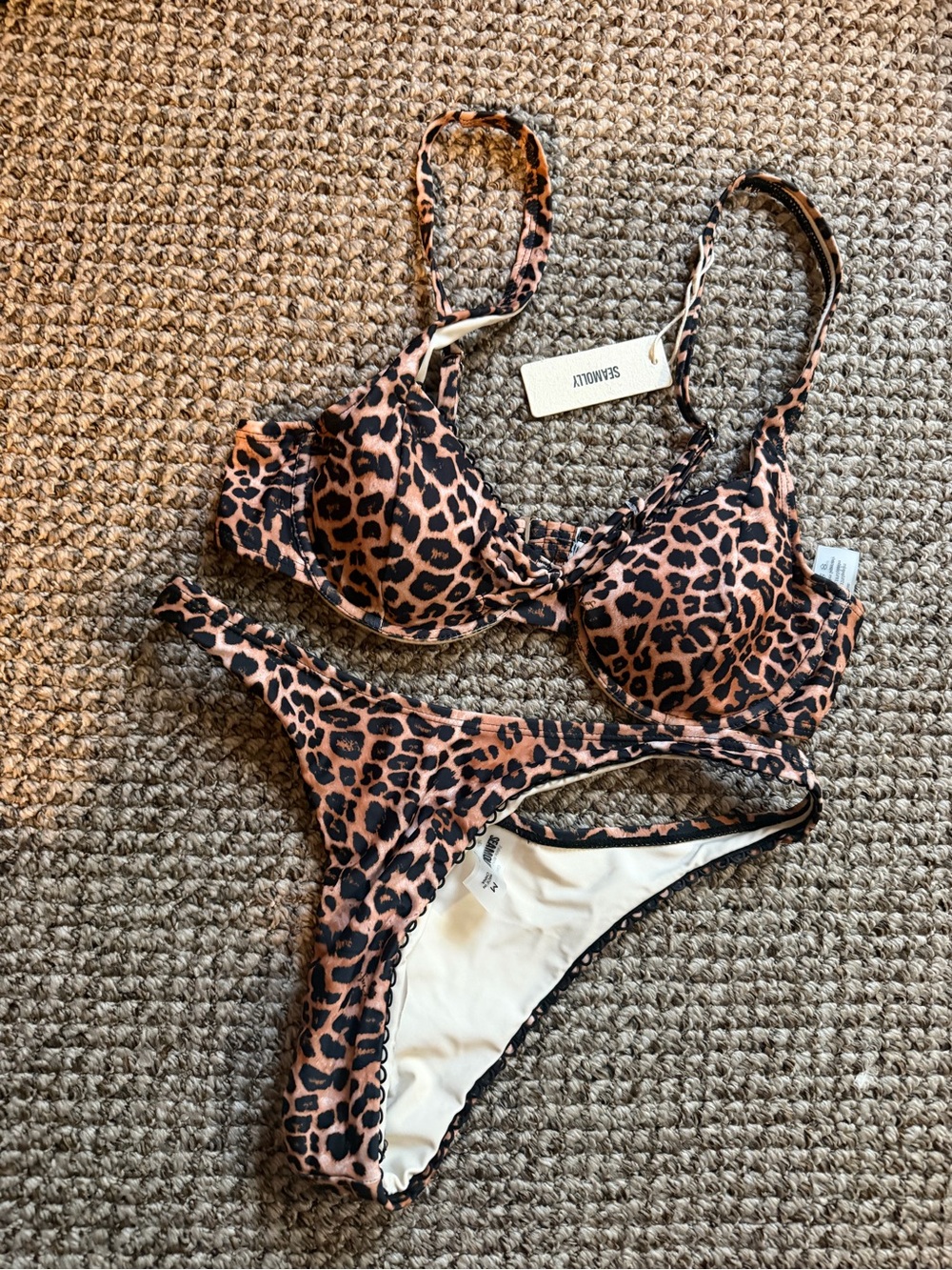 Leopard Print Underwire Bikini Top and Bottom - Brown Leopard